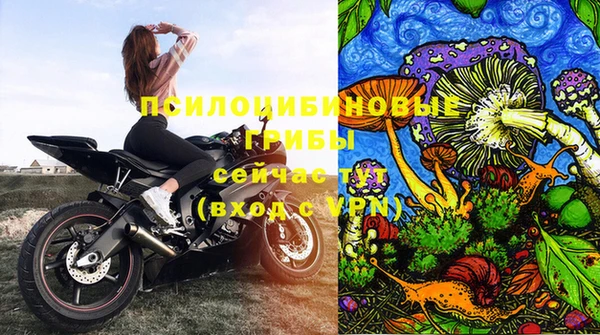 амф Абинск