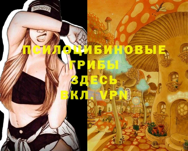 амф Абинск