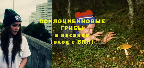 spice Абаза