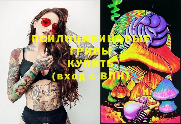 ECSTASY Абдулино