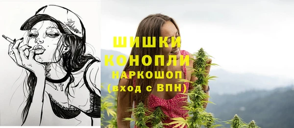 spice Абаза