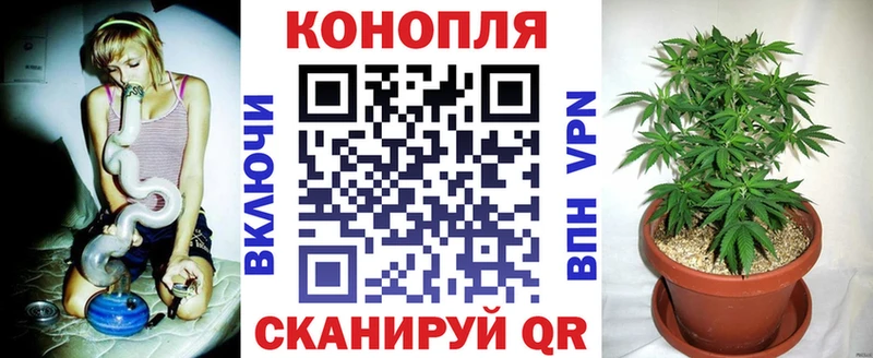 Шишки марихуана планчик  цена   Железногорск-Илимский 